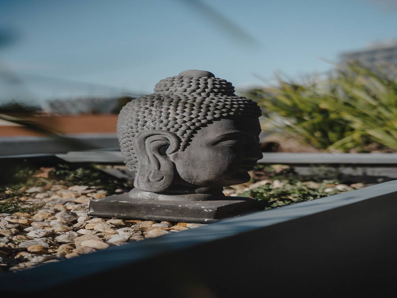 Apartamento entero, Apartamento céntrico de 1 dormitorio con balcón, barbacoa en la azotea y aparcamiento in North Canberra, Canberra