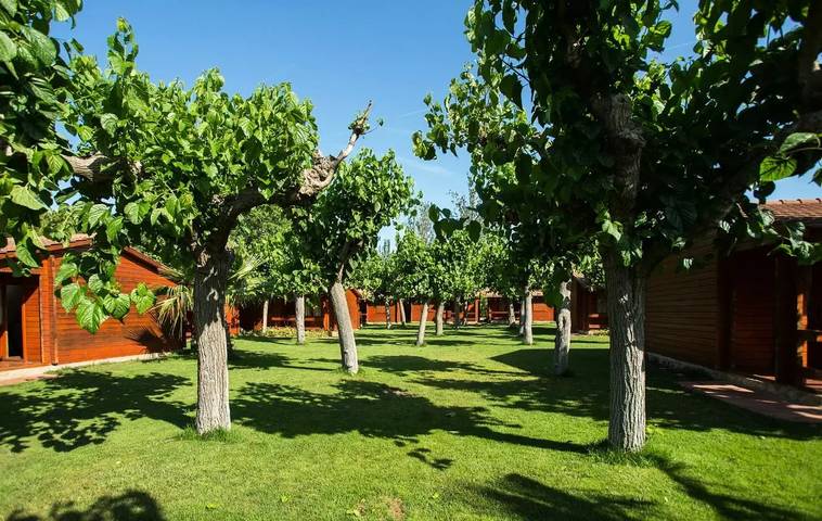 Camping pour 4 personnes, avec piscine et terrasse, animaux acceptés sur la Costa Dorada - 3