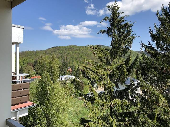 Ferienhaus für 3 Personen, mit Pool und Balkon im Harz - 4