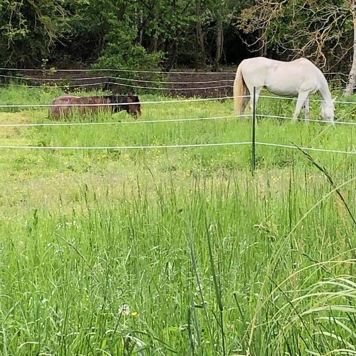 Tente pour 2 personnes, avec terrasse ainsi que jacuzzi et jardin dans le Tarn-et-Garonne - 3