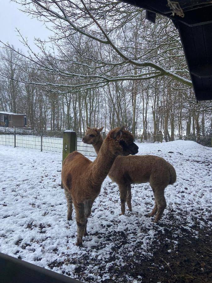 Chambre d’hôte pour 3 personnes, avec jardin ainsi que vue et bassin pour enfant
