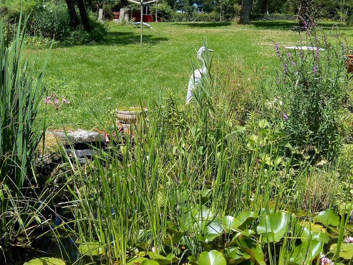 Ferienwohnung für 5 Personen, mit Garten, kinderfreundlich in Monschau - 4