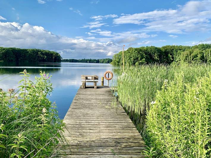 Charmantes Holzhaus am See mit Boot und Sauna in Dümmer (Mecklenburg-Vorpommern), Ludwigslust-Parchim