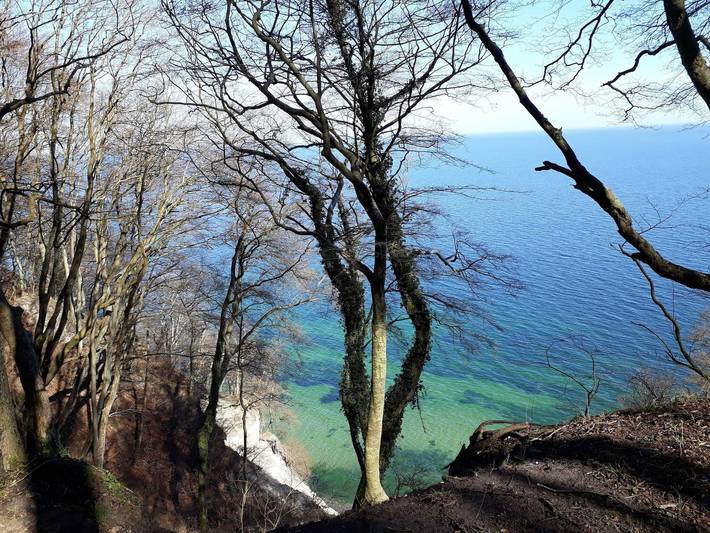 Ferienwohnung für 4 Personen, mit Terrasse und Garten, kinderfreundlich in Sassnitz