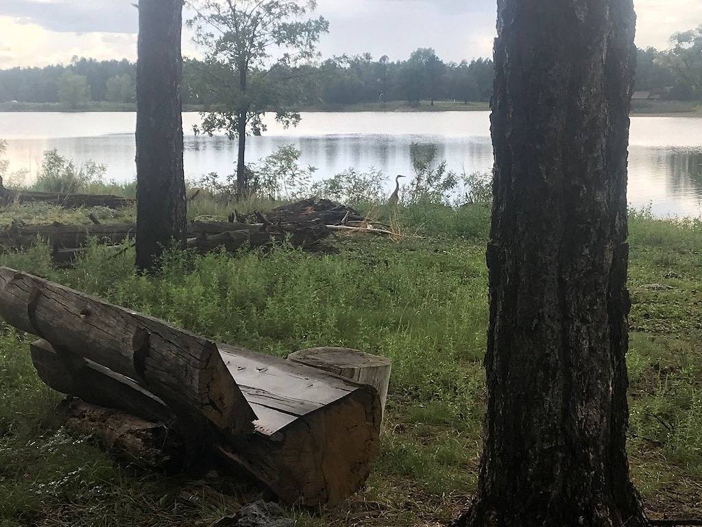 Neu! 4 Morgen Lakefront Cabin in den Tall Pines in Navajo County