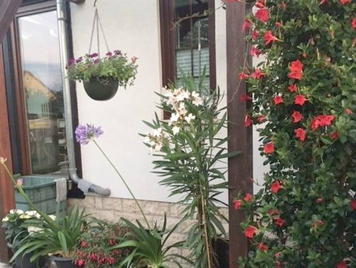 Ganze Ferienwohnung, Ferienwohnung Am Park Weimar - Ferienwohnung, 42qm, Balkon, 1 Schlafzimmer, max. 2 Personen in Weimar, Weimarer Land