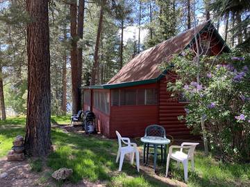 Log Cabin for 8 Guests in San Juan National Forest, La Plata County, Picture 2
