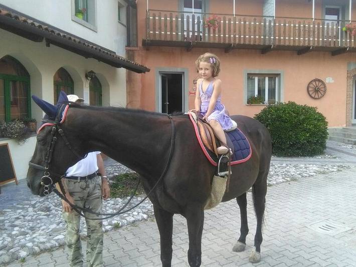 Location de vacances pour 3 personnes, avec jardin et terrasse à Venzone - 3