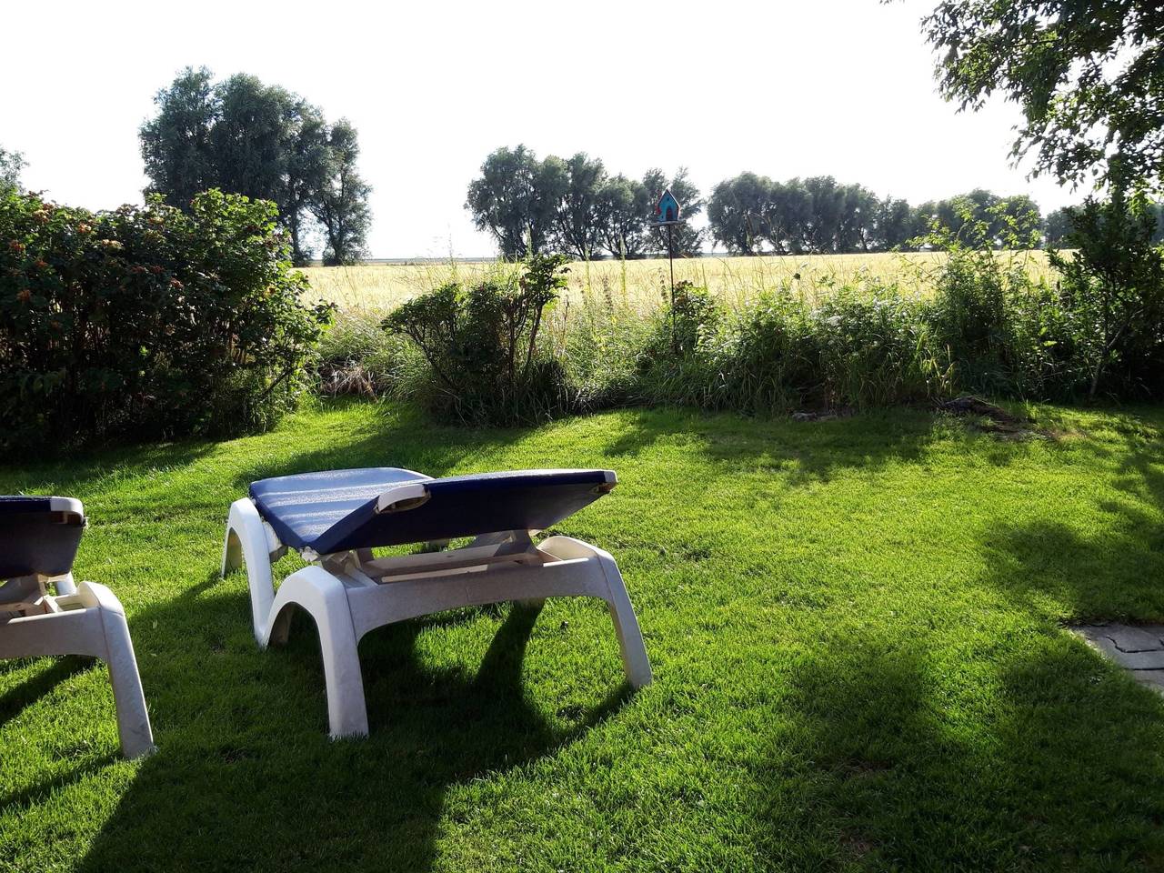 Ganze Wohnung, "Parterre" in Pilsum, Krummhörn