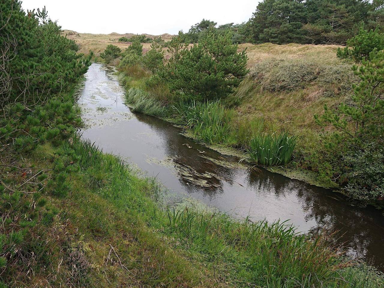 Renoveret sommerhus i Hejlsminde in Vejers Strand, Varde Kommune