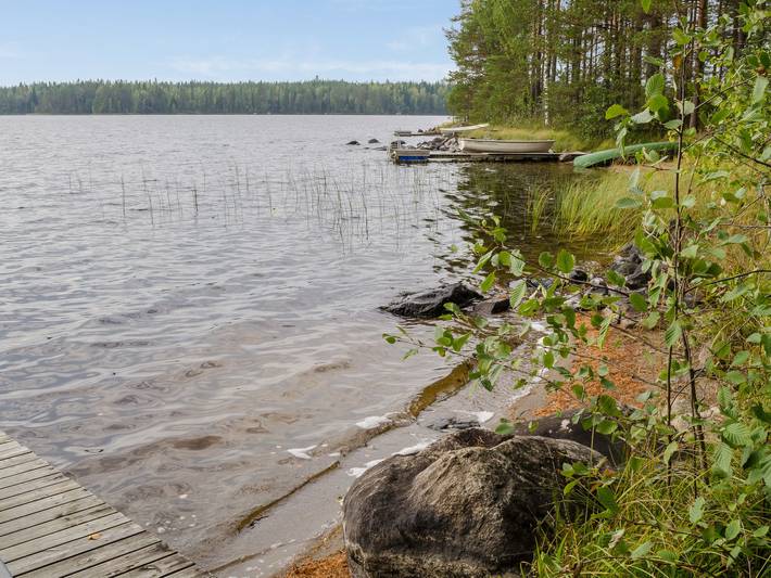 Ulpukka in Pielinen