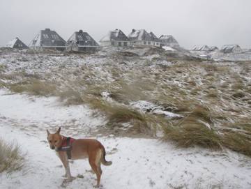 Ferienwohnung für 4 Personen, mit Terrasse, mit Haustier in Hörnum