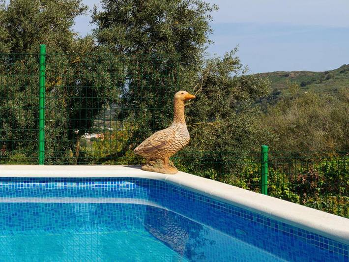 Villa for 11 people, with garden and terrace as well as pool and view, with pets in Santa Brígida