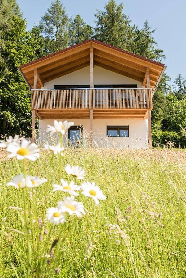 Chalet für 6 Personen, mit Garten und Pool sowie Ausblick in Bodenmais - 2