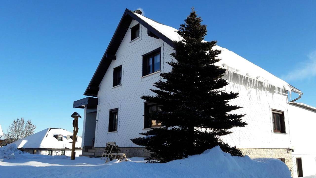 Ganze Wohnung, One-Bedroom Apartment in Frauenwald, Rennsteig