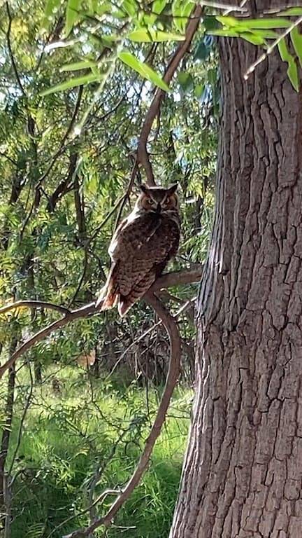 Spass Familienurlaub Zuhause, Die Schlafen 10 in Oak Creek, Oak Creek Canyon