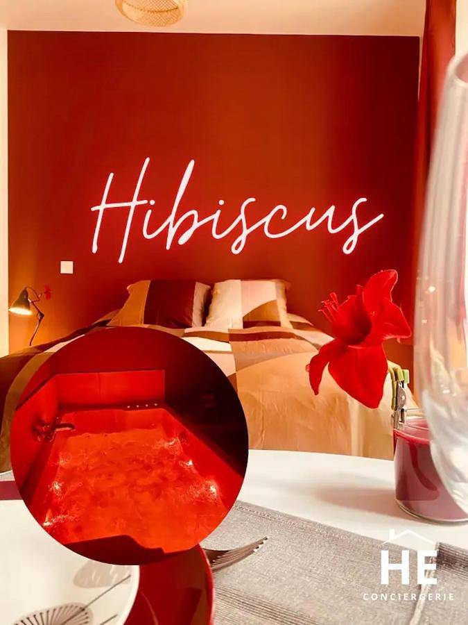 Appartement entier, Suite Hibiscus - Cocon Romantique & Jacuzzi Privé in Montargis, Région de Montargis