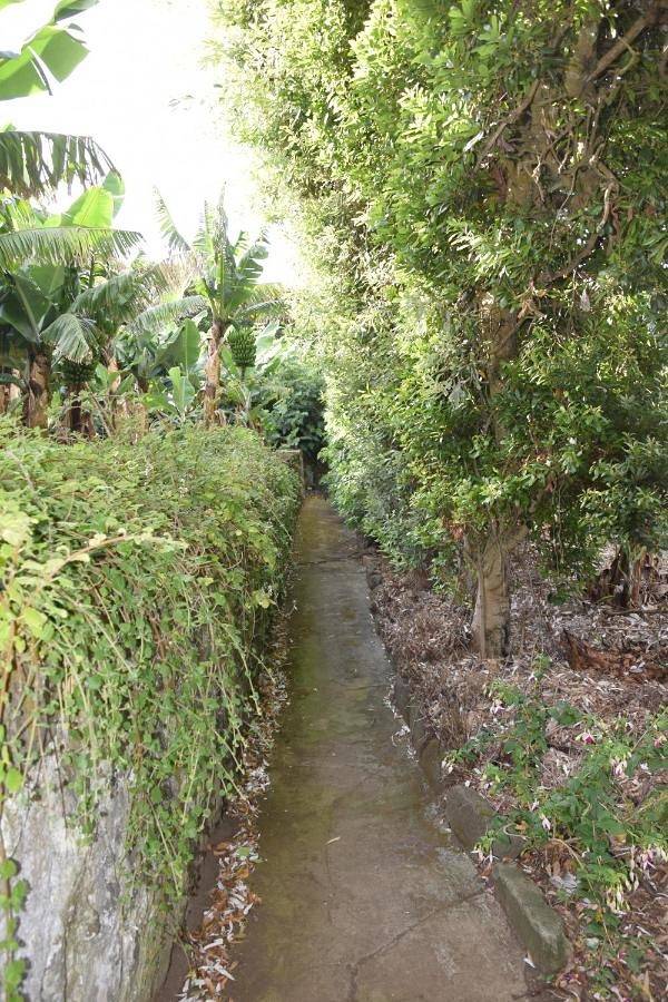 Maison d’hôte pour 2 personnes, avec jardin à Angra do Heroísmo - 3
