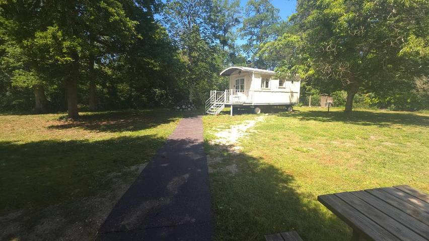 Gîte pour 3 personnes, avec vue et jardin ainsi que piscine et terrasse à Pruniers-en-Sologne - 4