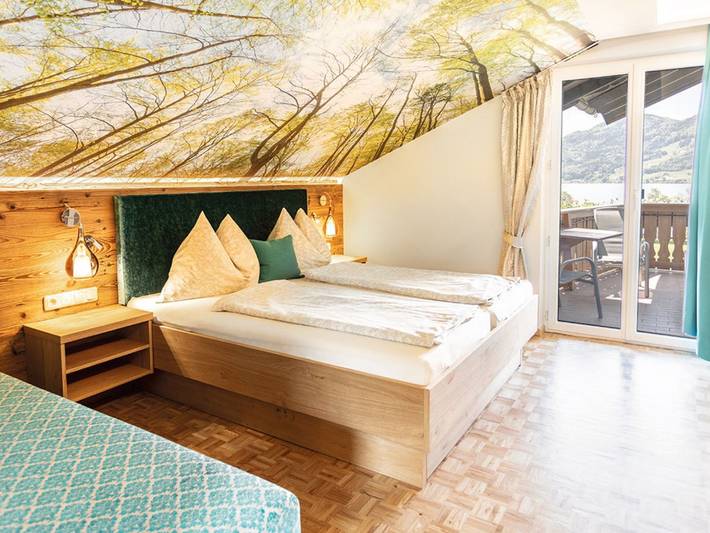 Ganze Ferienwohnung, Haus Bader - Ferienwohnung Berg in Steinbach am Attersee, Bezirk Vöcklabruck