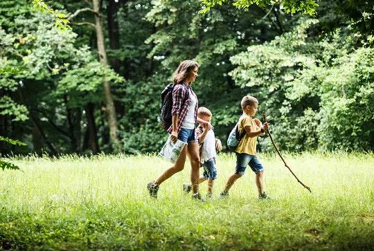 Gîte pour 8 personnes, avec piscine et terrasse à Montvalent - 3