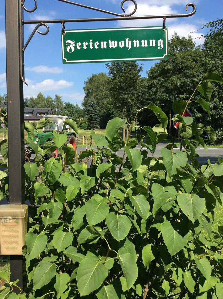 Ferienwohnung für 6 Personen, mit Terrasse, mit Haustier in Tecklenburg - 2