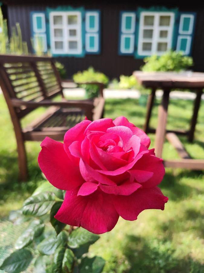 Maison d’hôte pour 2 personnes, avec terrasse et jardin à Nida - 2