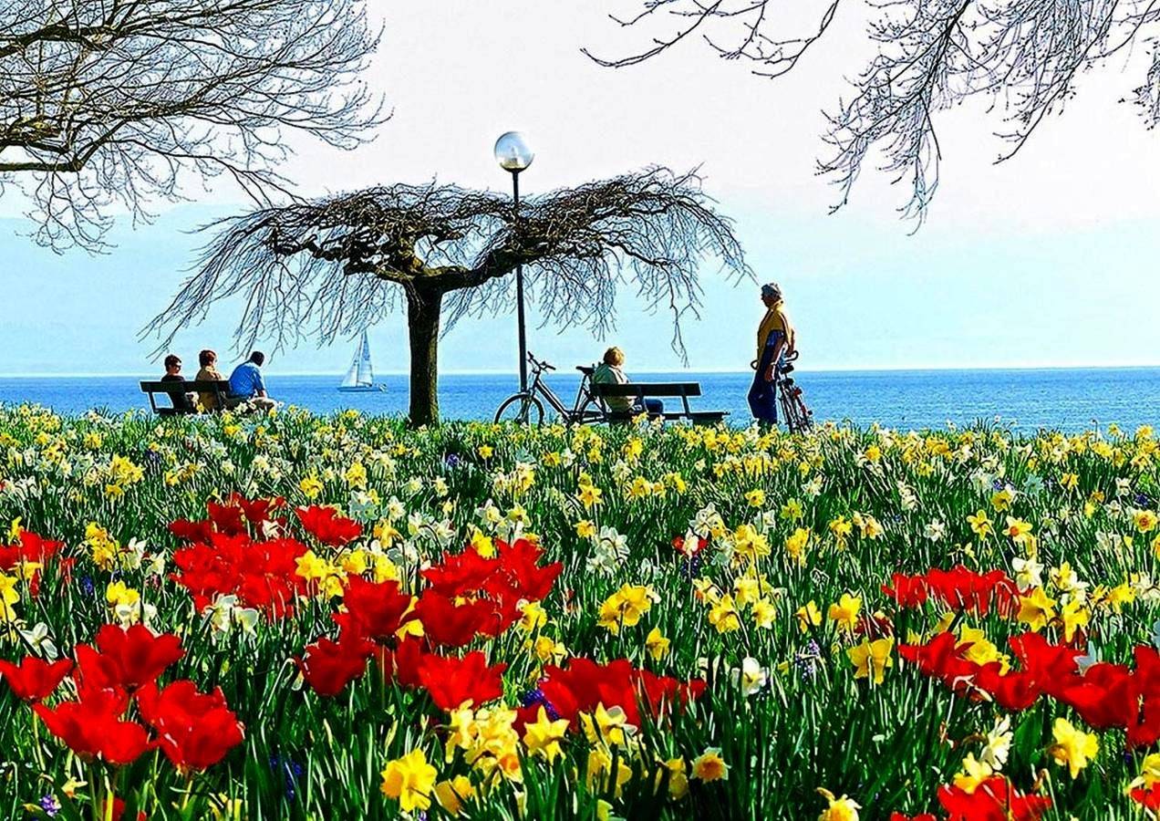 Hotel Am Rehberg in Lindau, Souabe (Bavière)