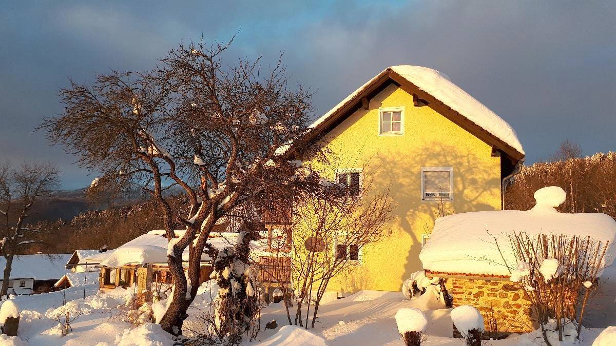 Ganze Wohnung, Ferienw. Sigis Waldhaus - Ferienwohnung in Neuschönau, Šumava Mountains