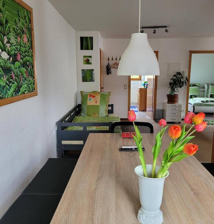 Ferienwohnung für 4 Personen, mit Ausblick und Terrasse, mit Haustier in Hüfingen