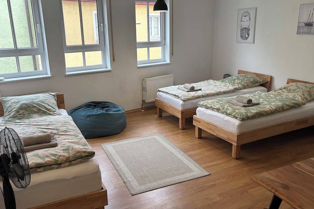 Ganze Wohnung, Im Herzen der Stadt Passau. Sehr zentrale Ferienwohnung Appartement Donauwelle 2 in Passau, Passauer Land