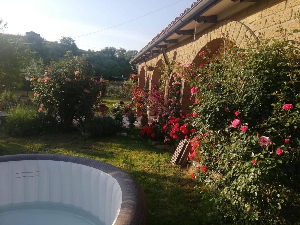 La casetta di samba in Anguillara Sabazia, Lago di Bracciano