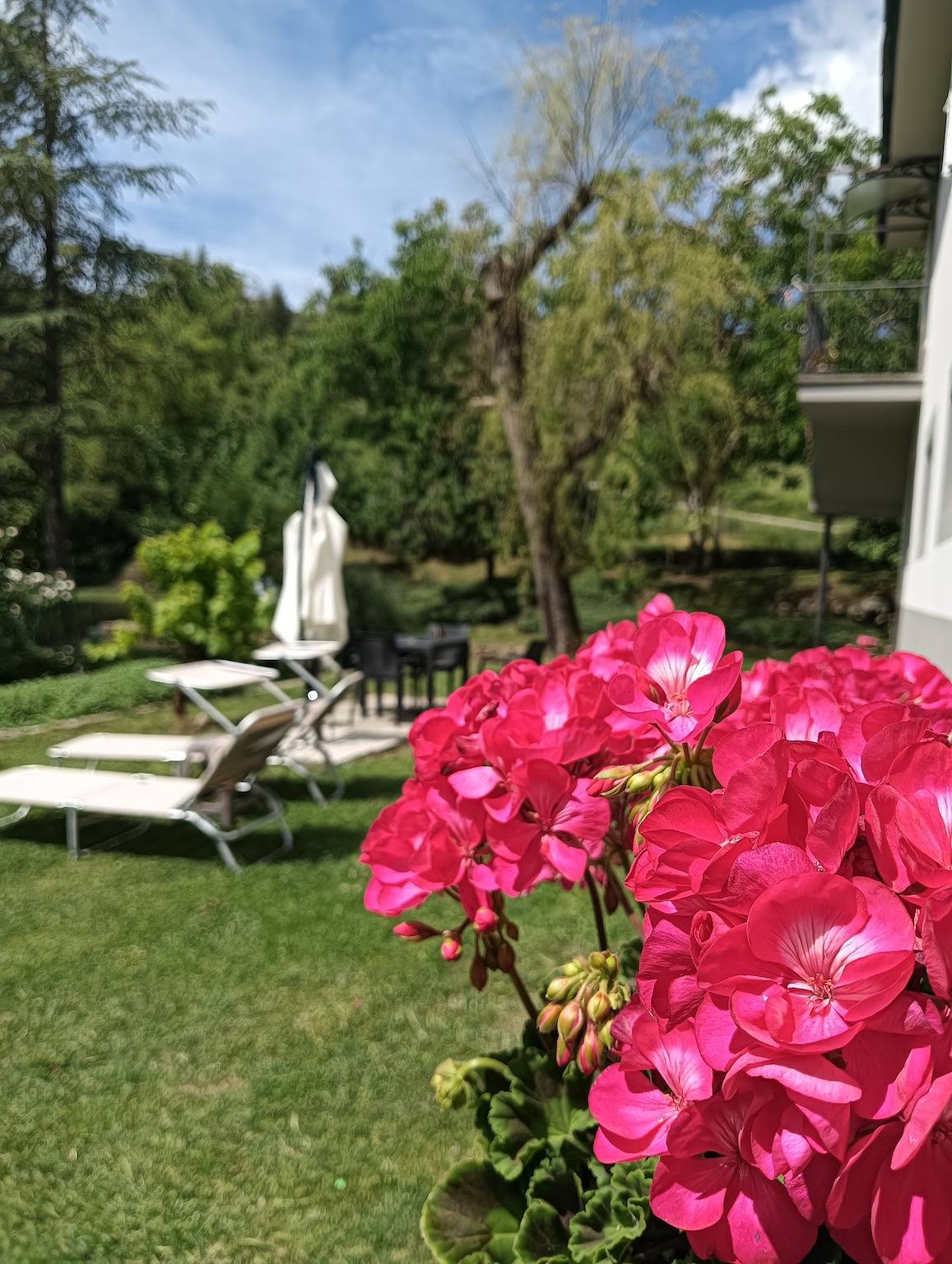 Appartamento intero, Casa Vacanza I Salici sul Monte Amiata in Abbadia San Salvatore, Siena e dintorni
