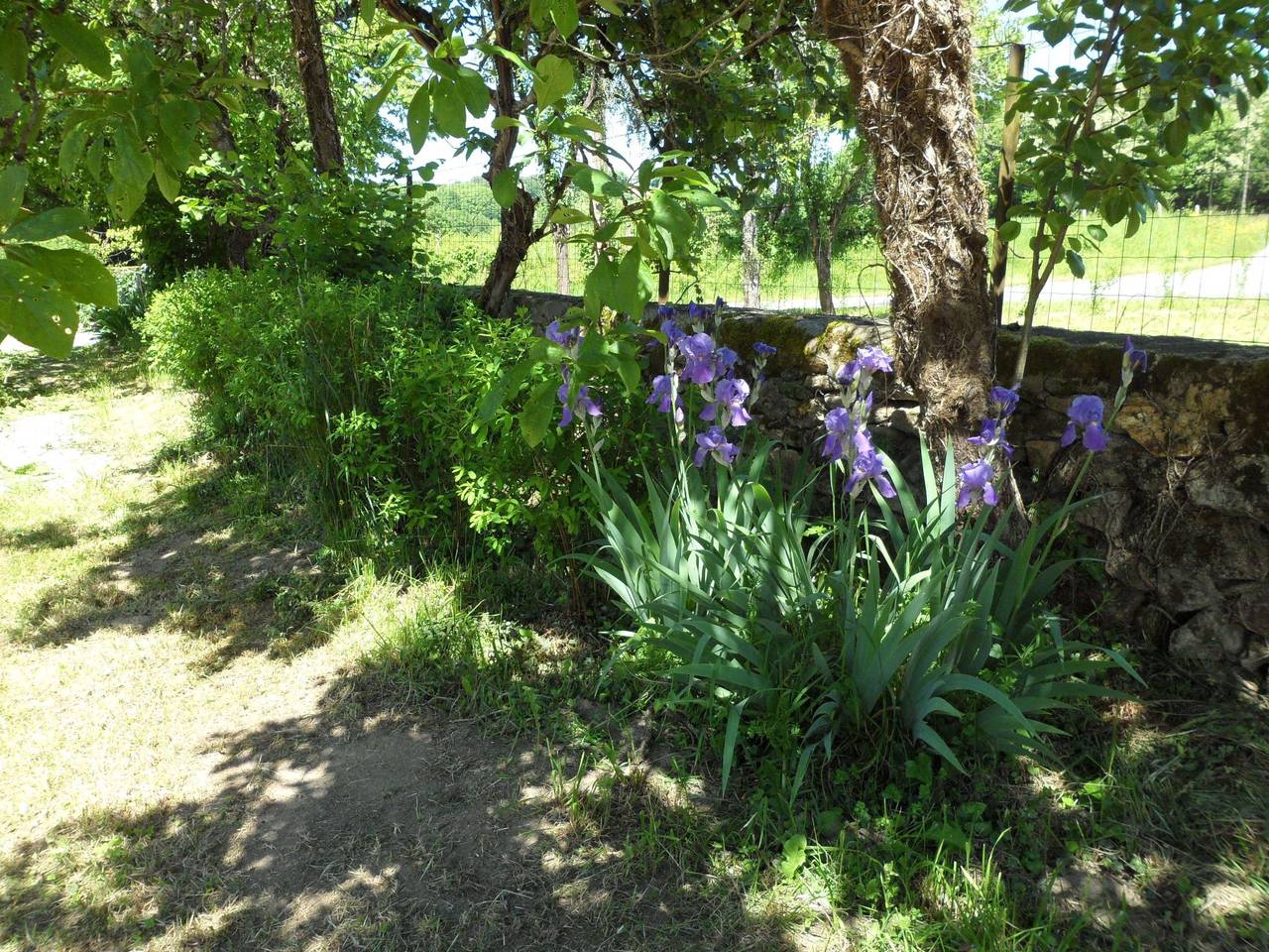 "Aelise" mit eigenem Pool in Saint-Priest-la-Feuille, Guéret und Umgebung