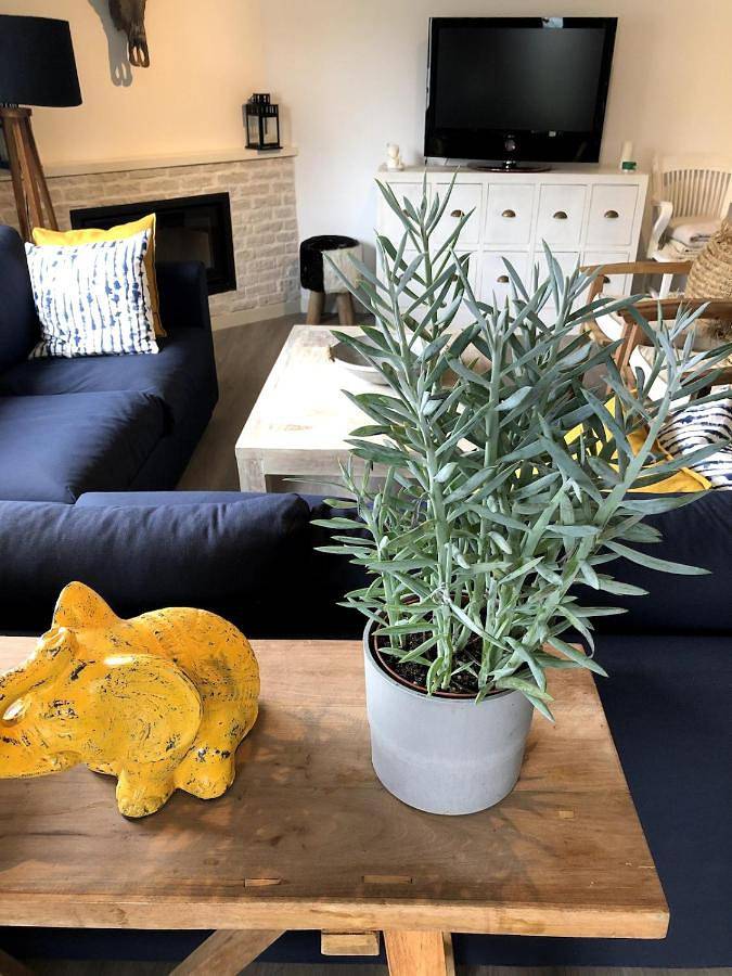 Casa rural para 8 personas, con jardín y vistas, Familias con niños en Oviedo - 2