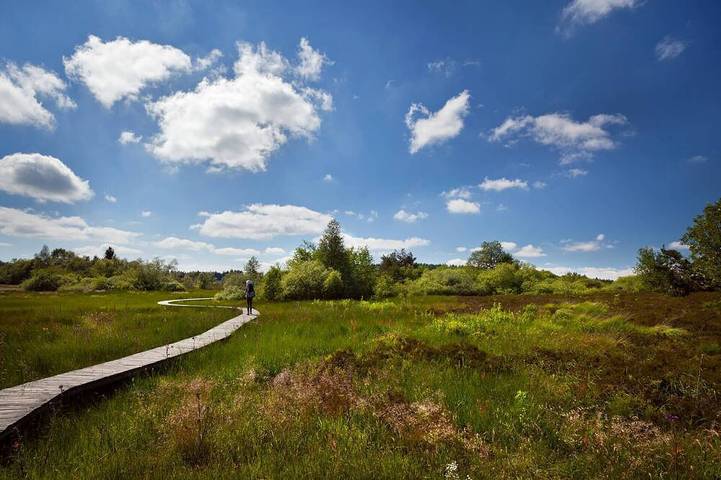 Gîte pour 15 personnes, avec jardin à Coutouvre