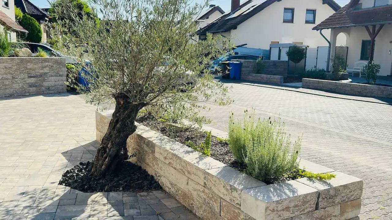 Ganze Ferienwohnung, Ferienwohnung für 2 Personen (25 m²) in Wörrstadt in Wörrstadt, Rheinhessen