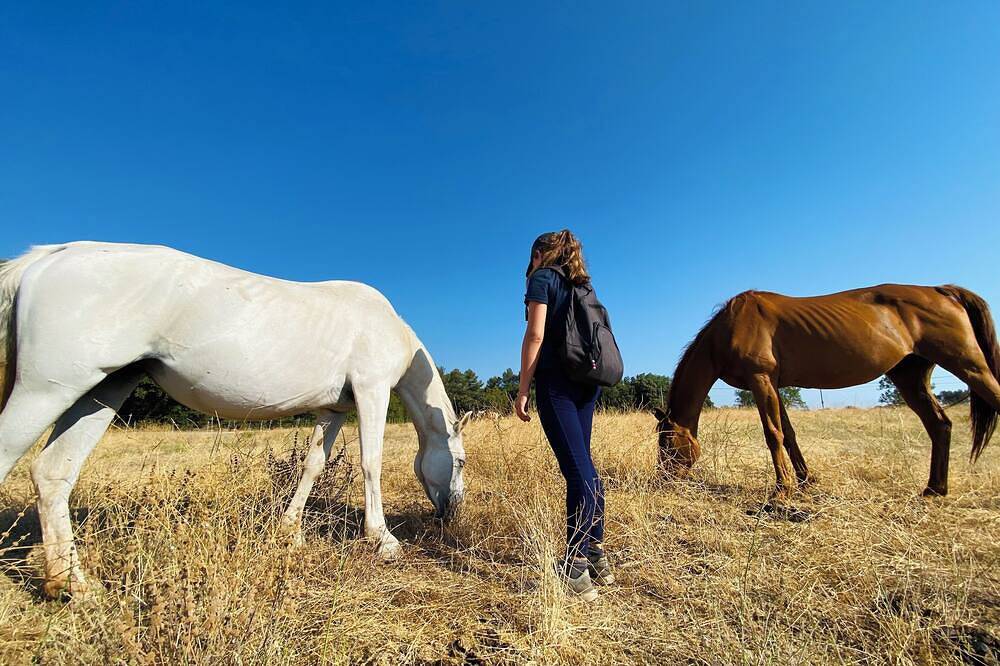 Nature estate in Provence with horses (max 22 pers), swimming pool, unique immersion in Jouques, Region de Aix-en-Provence