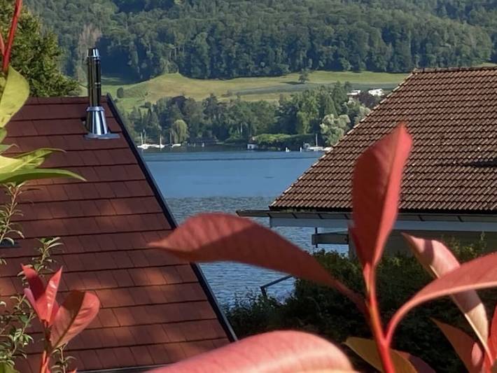 Ferienhaus für 4 Personen, mit Terrasse, mit Haustier in Untersee - 3