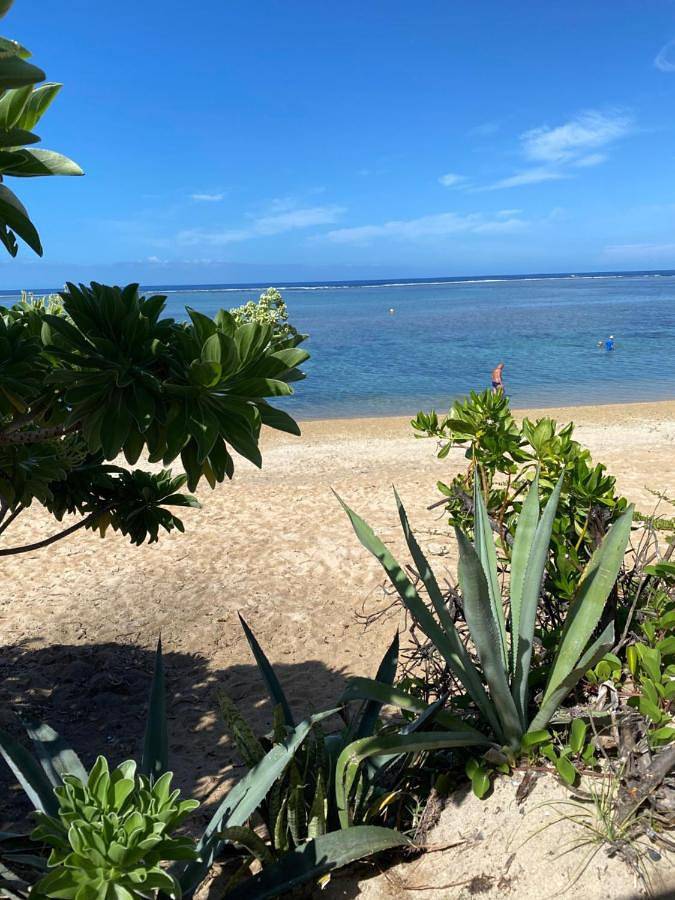 Maison d’hôte pour 5 personnes, avec vue et jardin dans Plage de la Saline