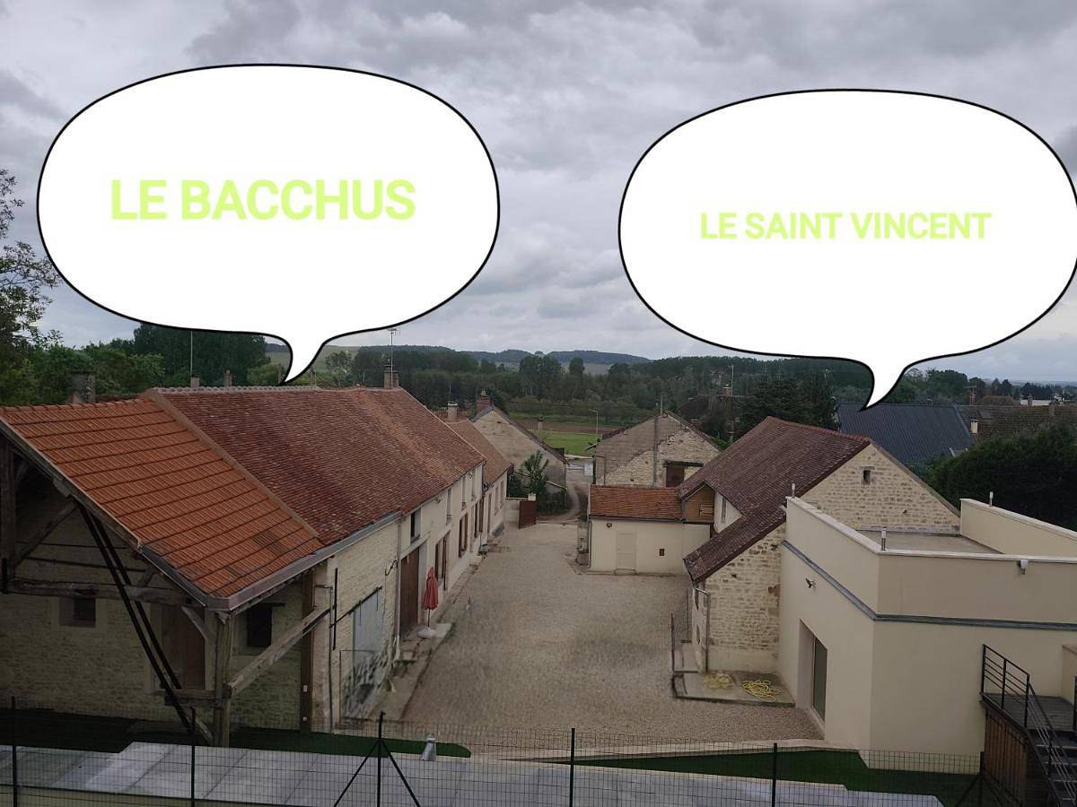 Le Bacchus in Chablis, Région d'Auxerre