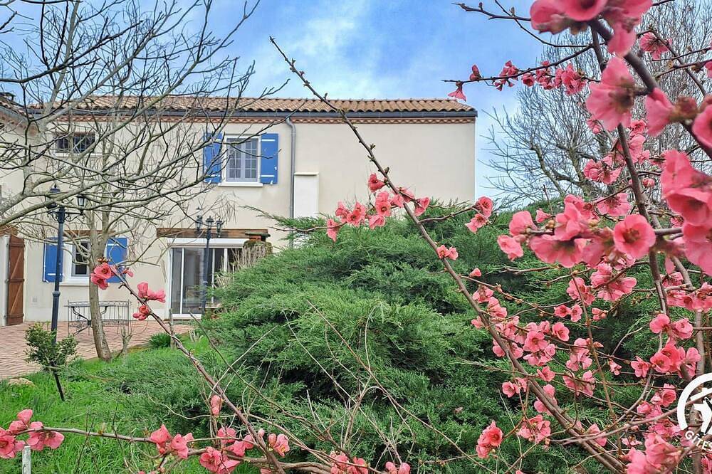 L'esquiròu - castres - Gîte in Castres, Castres region