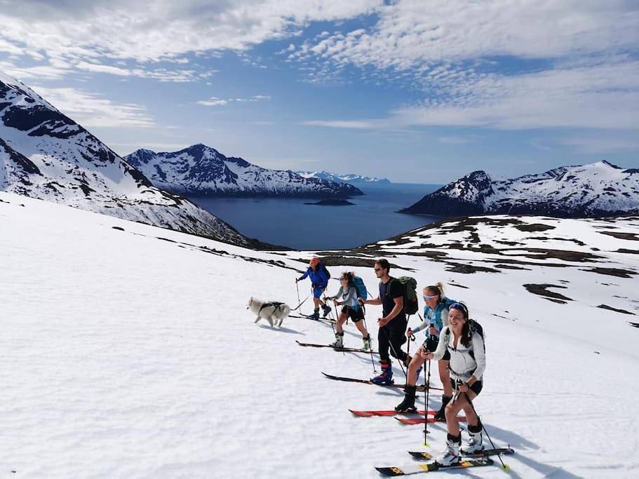 Tromvik Lodge in Kvaløya, Tromso