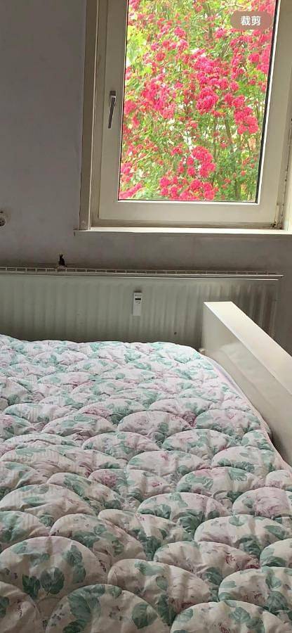 Location de vacances pour 6 personnes, avec vue et terrasse à Brakel - 4