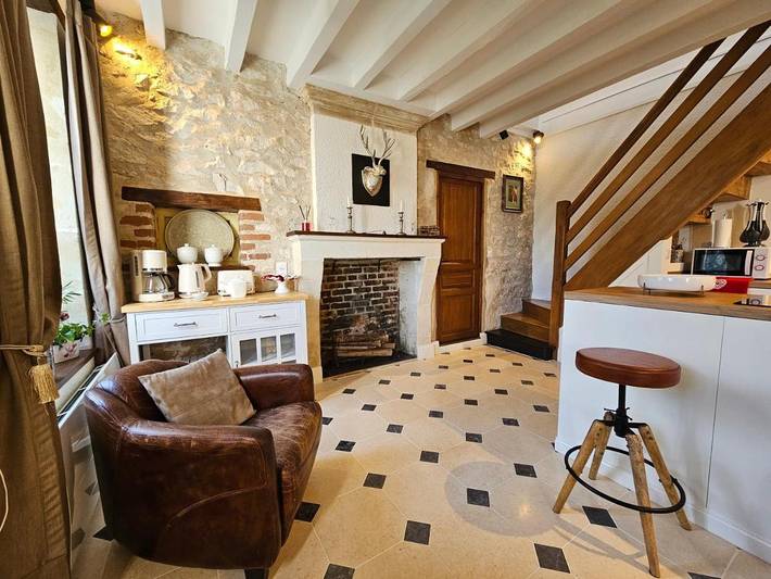 Location de vacances pour 4 personnes, avec piscine ainsi que vue et jardin à Châtillon-sur-Cher - 3