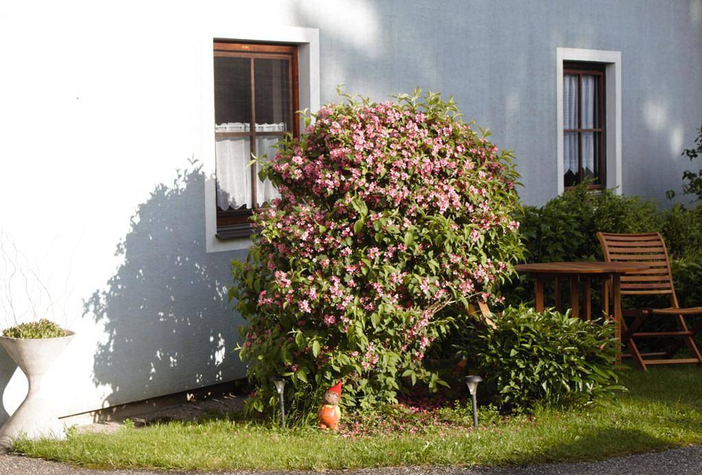 Ganze Ferienwohnung, Haus Linda - Veilchen-Zimmer in Bärnkopf, Bezirk Zwettl