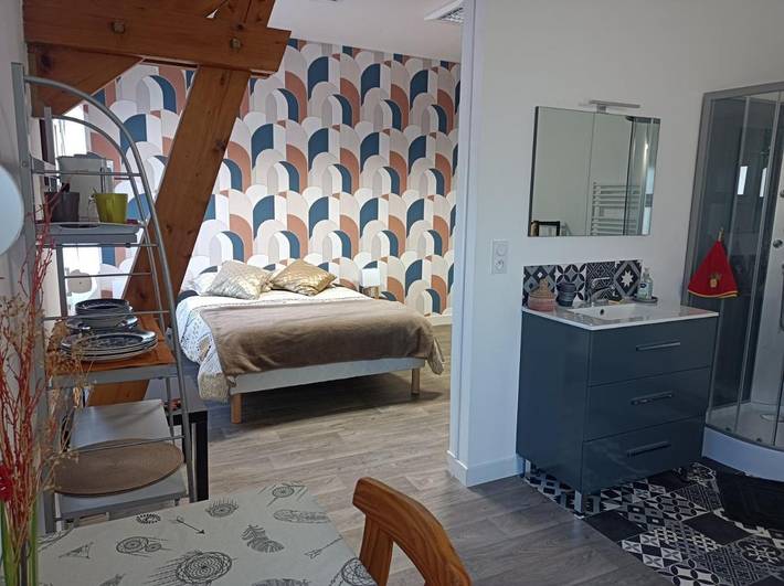 Gîte pour 2 personnes, avec terrasse ainsi que vue et jardin à Château-du-Loir - 4