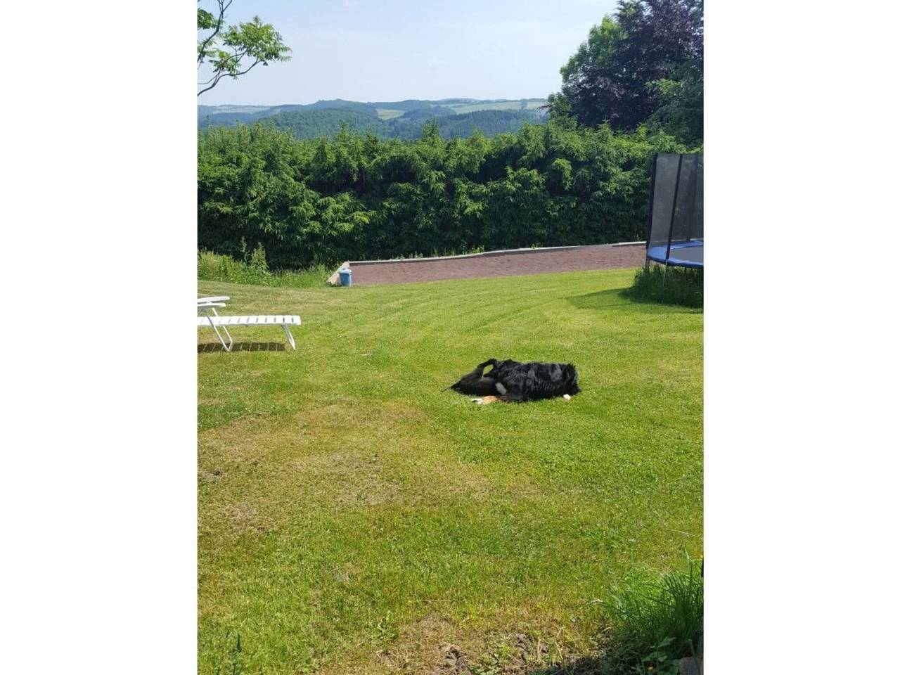 Vakantie in het dorp, foto 12