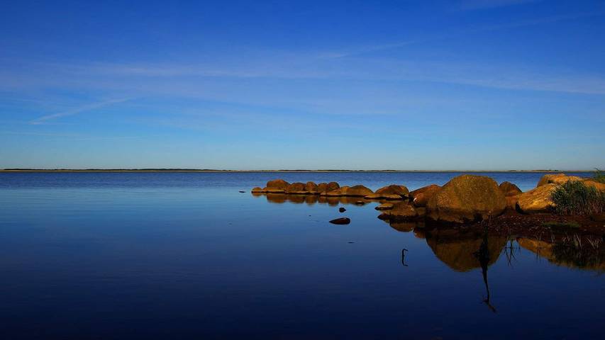 Ferienhaus für 5 Personen, mit Haustier am Ringkøbing Fjord - 4