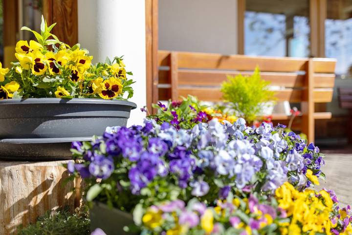 Ganze Wohnung, Ferienwohnung 'A' mit Bergblick, Balkon und WLAN in Rina, Enneberg